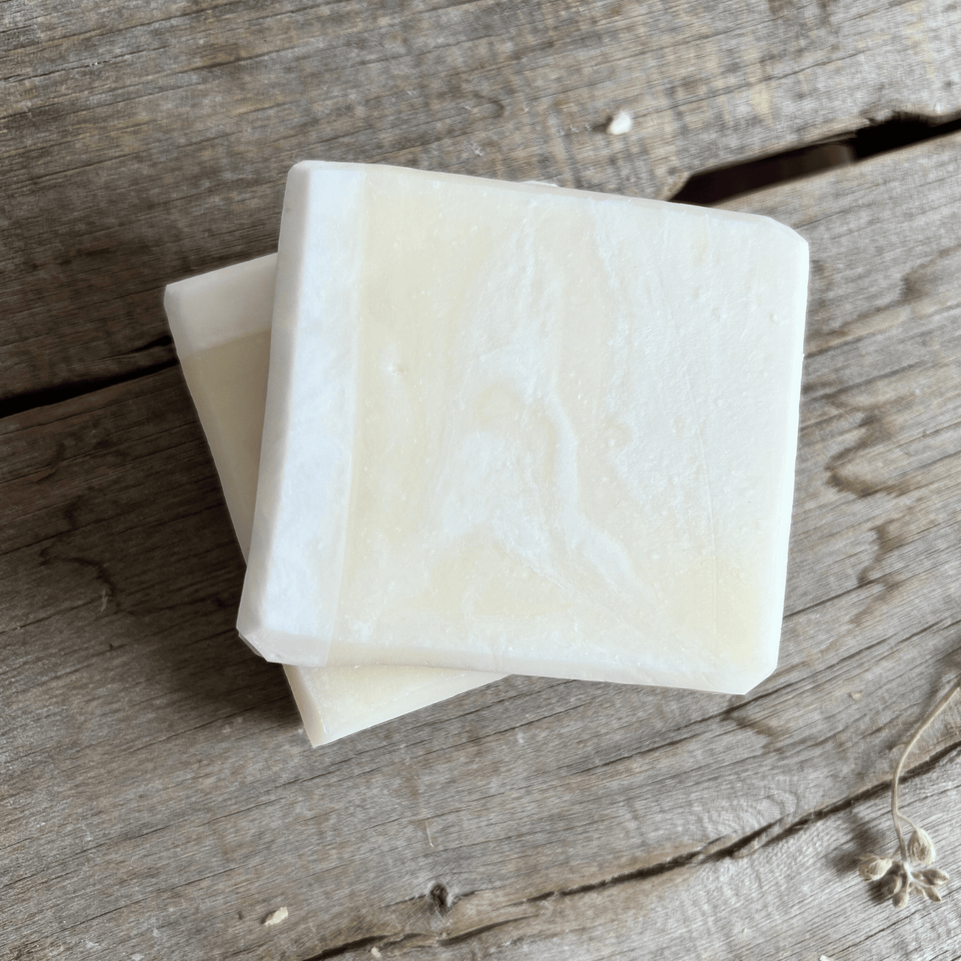 Plain tallow soap