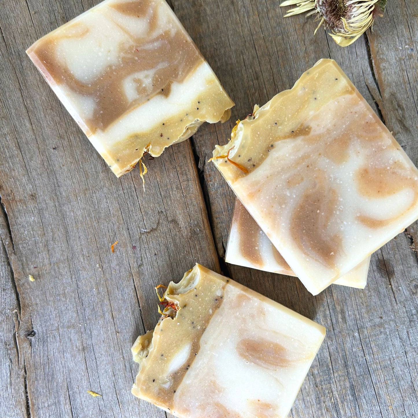 Swirled Oats | Gentle Tallow Soap | Face & Body