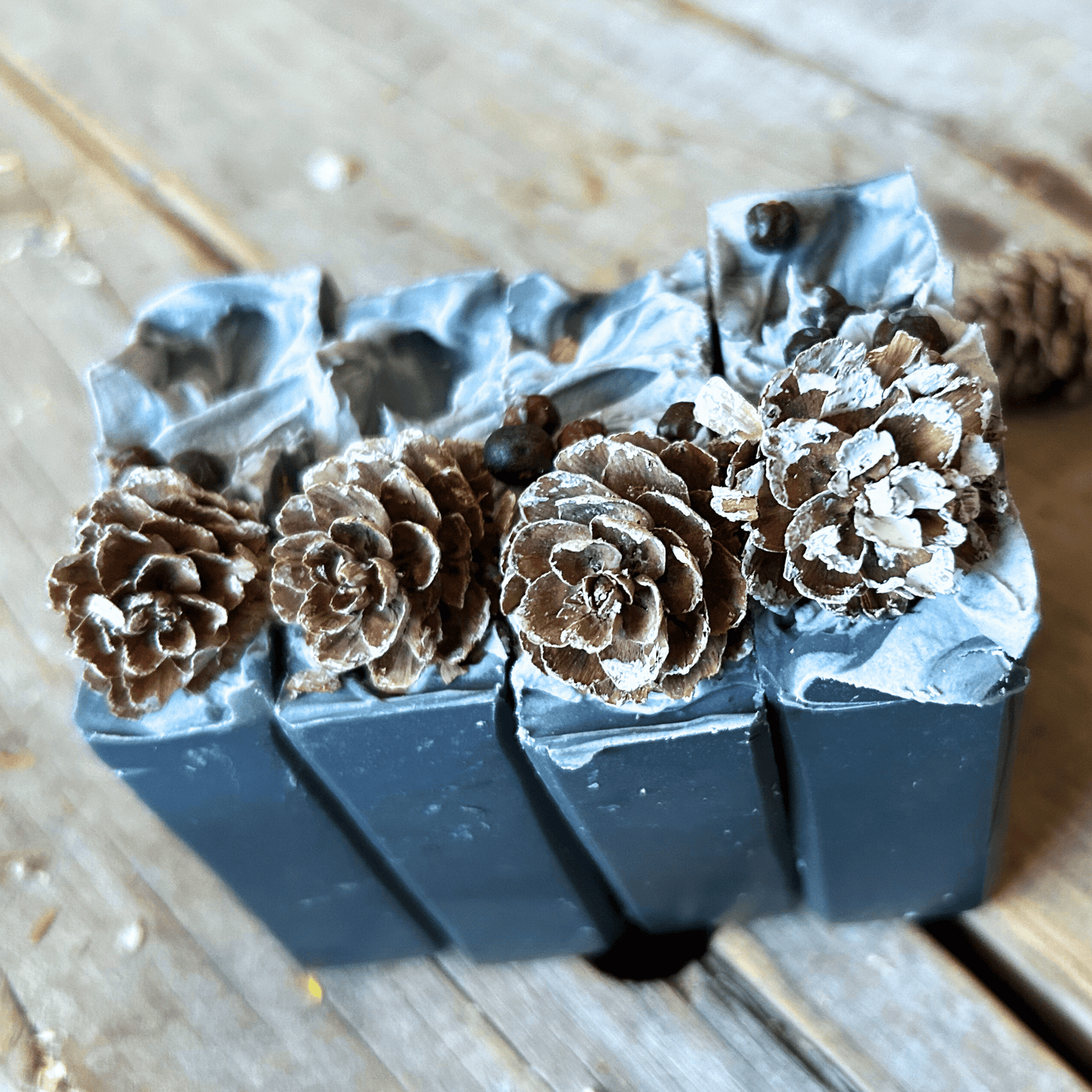 Juniper Night  | Activated Charcoal Tallow Soap