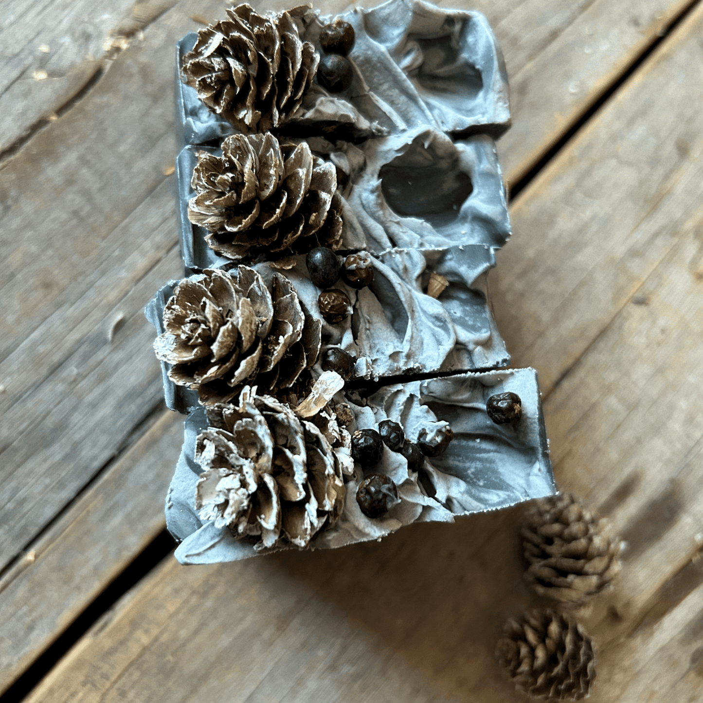 Juniper Night  | Activated Charcoal Tallow Soap